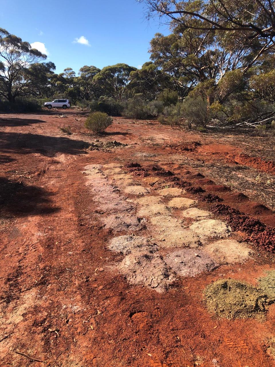 Northern Zone Project Site Visit, Western Australia