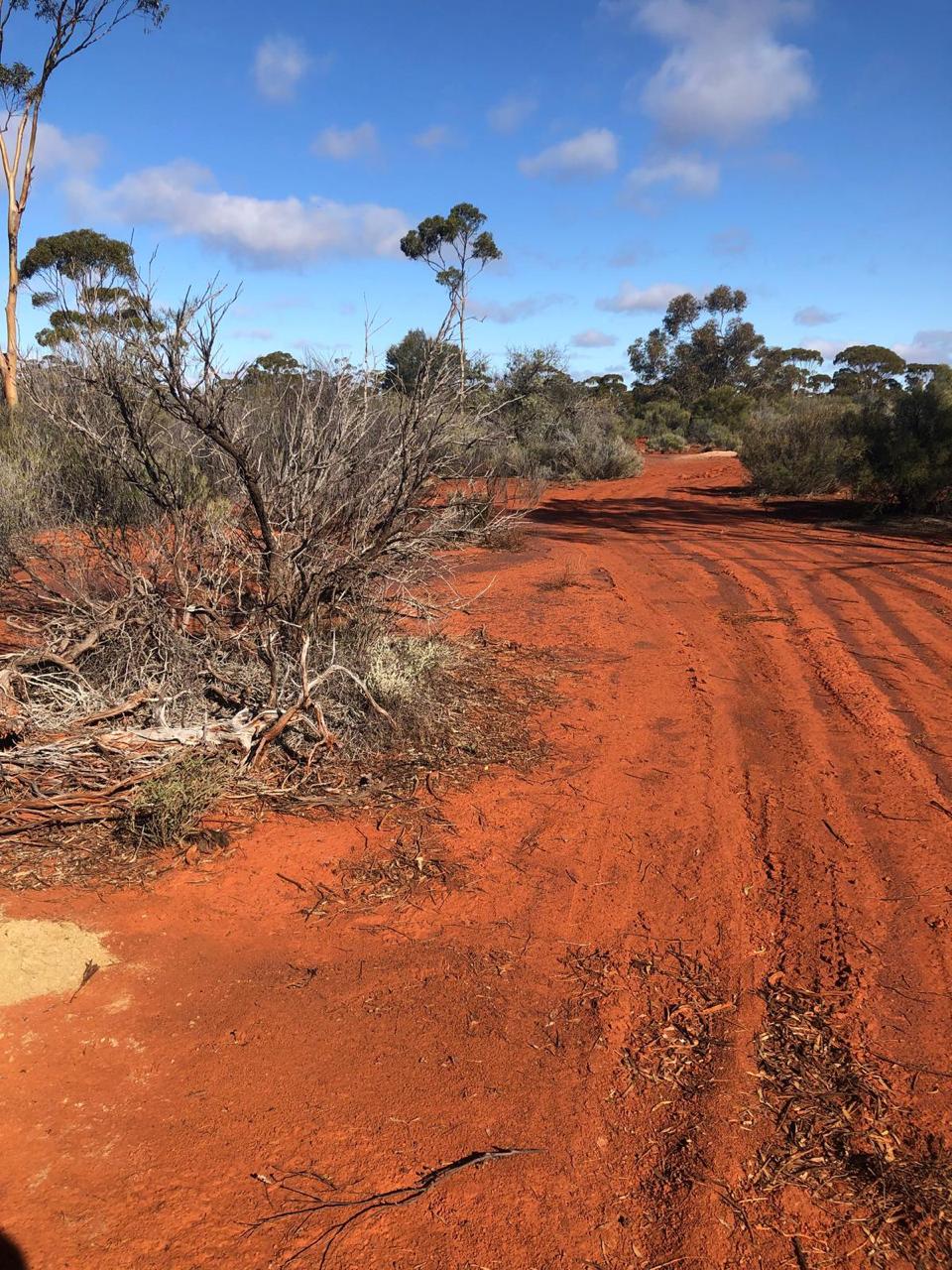 Northern Zone Project Site Visit, Western Australia