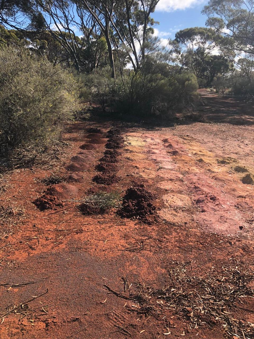 Northern Zone Project Site Visit, Western Australia